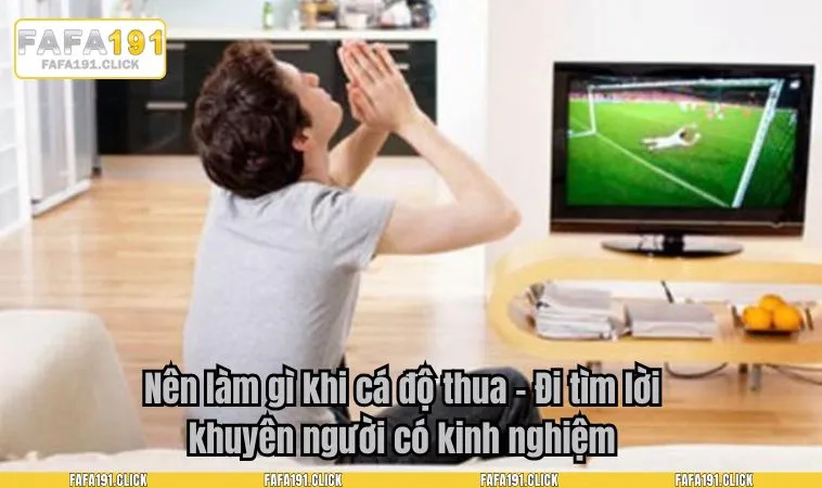 Nên làm gì khi cá độ thua – Đi tìm lời khuyên người có kinh nghiệm